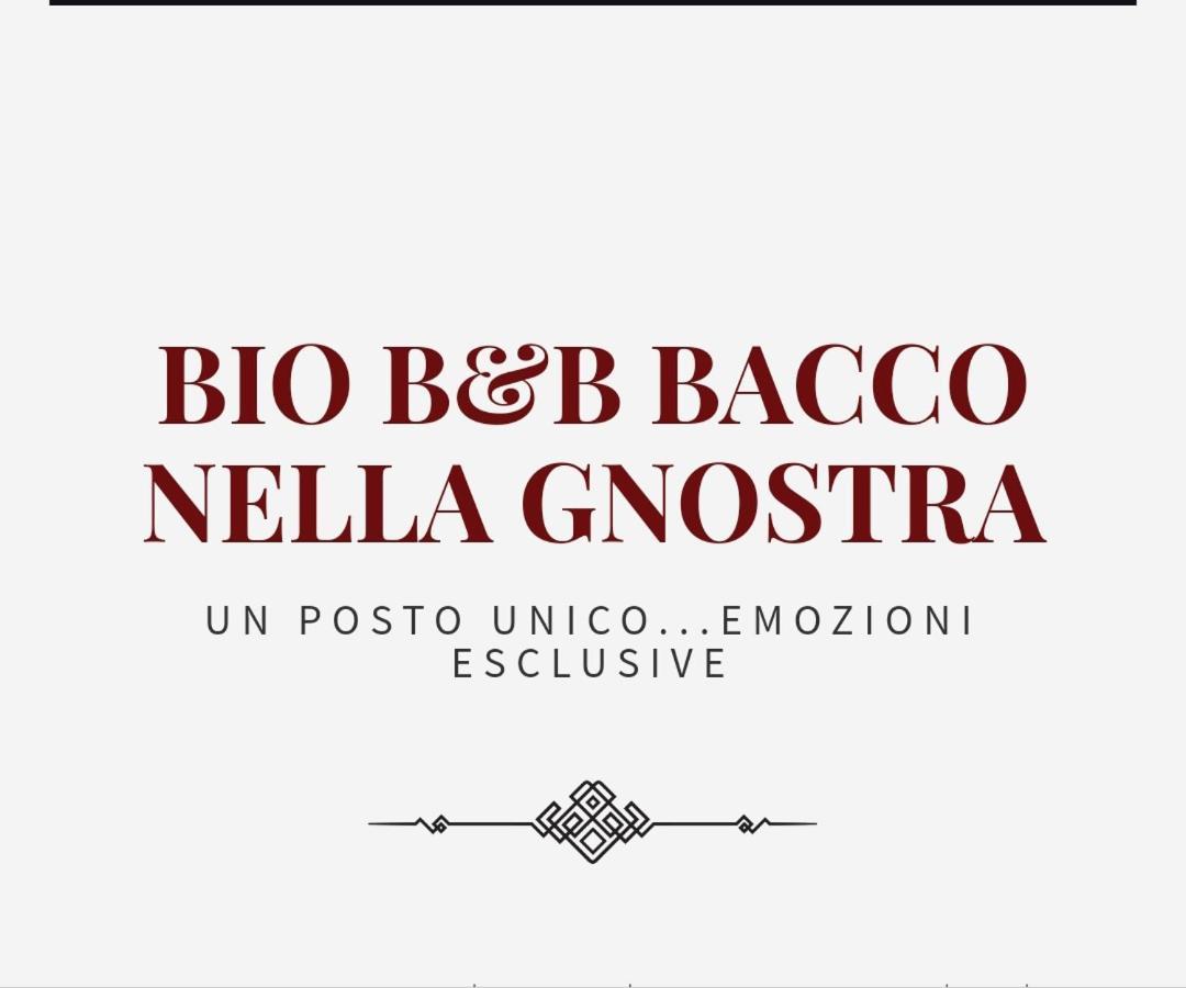 Bio B&B Bacco Nella Gnostra アルタムラ エクステリア 写真